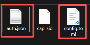 Codex configuration directory screenshot