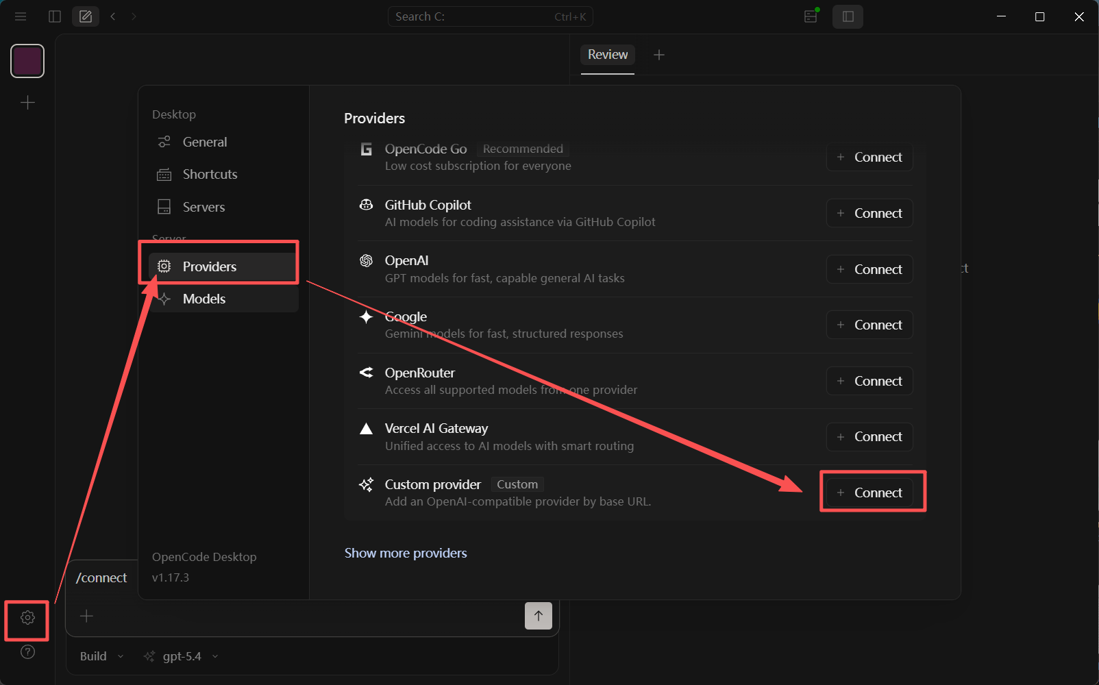 Custom Provider entry